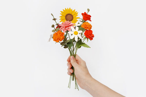 Yoclay Botanical Collection