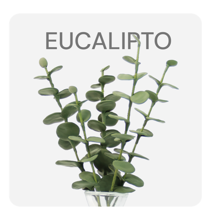 Eucalipto, Pocket YoClay