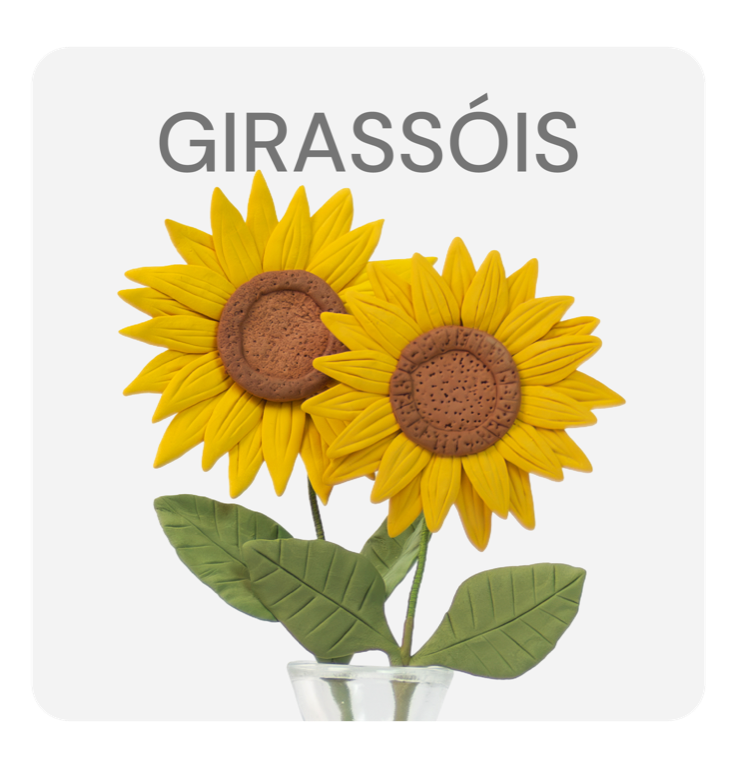Girassol, Pocket YoClay