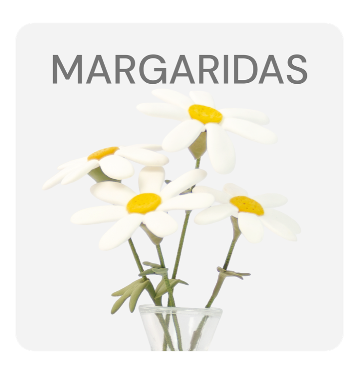 Margarida, Pocket YoClay